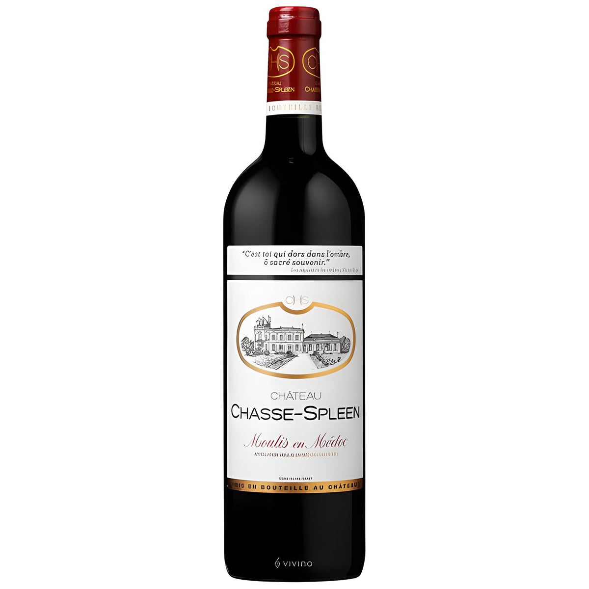 Château Chasse-Spleen - Moulis en Medoc 2019 (750ml)