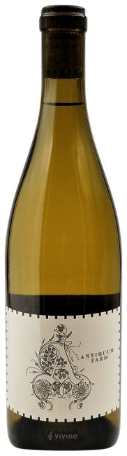 Antiquum Farm Pinot Gris Daisy 2023