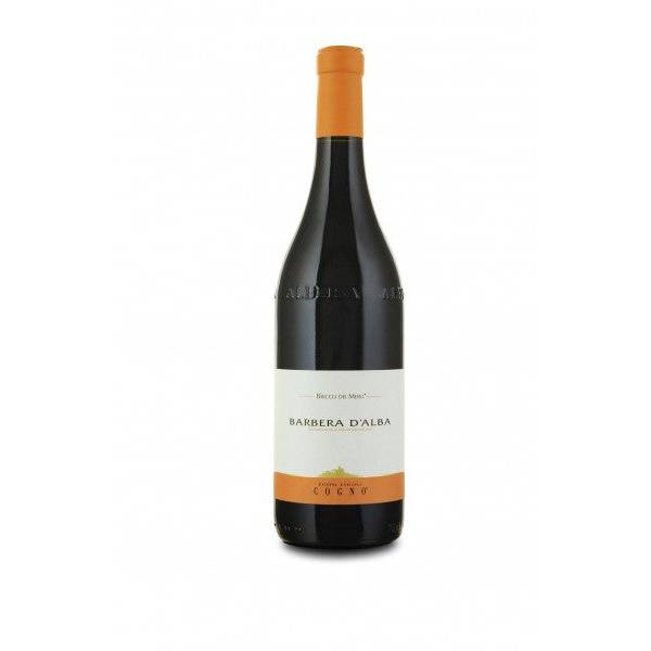 Elvio Cogno Barbera d'Alba Bricco dei Merli 2022 (750ml)