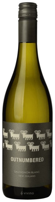 Matahiwi Estate Wairarapa Outnumbered 2024 (750ml)