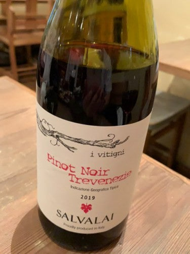 Salvalai - Pinot Noir 2024 (750ml)