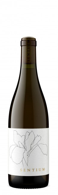 Continuum - Sentium Sauvignon Blanc 2023 (750ml)