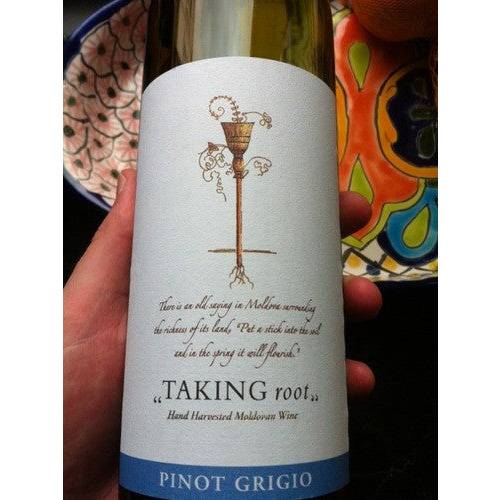 Acorex Wine Holding Taking Root Pinot Grigio 2024 (750ml)