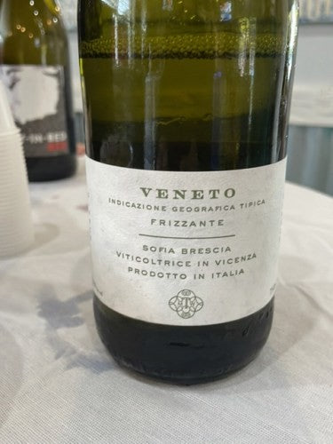 Mary Taylor Veneto Frizzante (Sofia Brescia) NV (750ml)