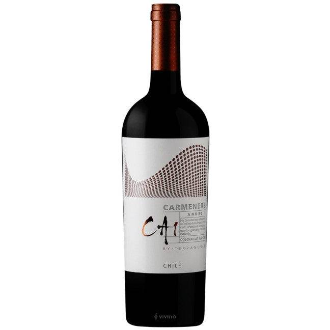 TerraNoble - CA1 Andes Carmenère 2021 (750ml)